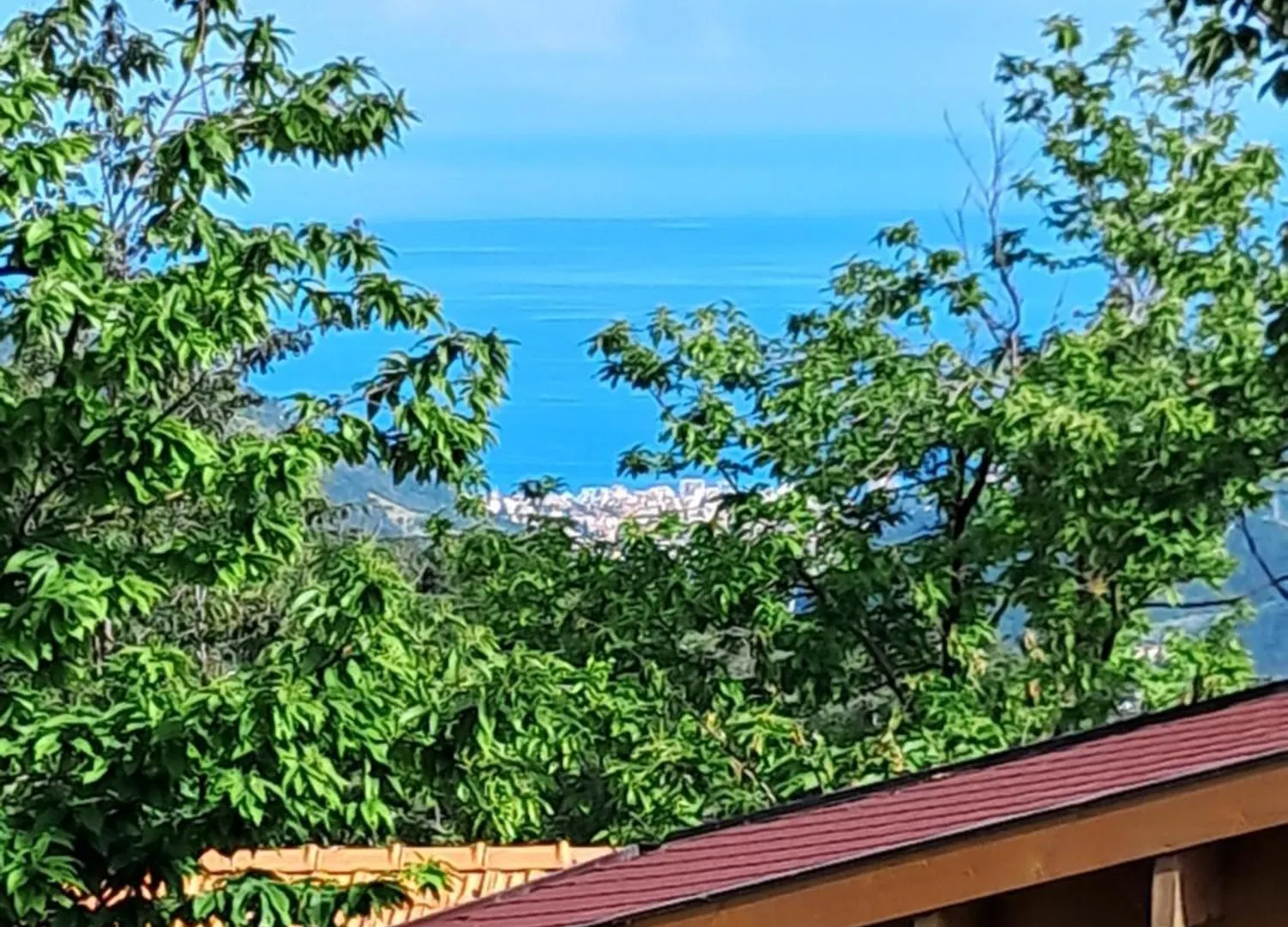 キャンプ場 Villaggio Turistico Tecciu Di Cuppi Magliolo