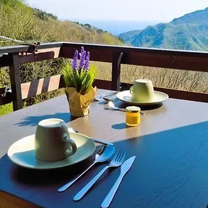 Bee Freeride Biker House Magliolo